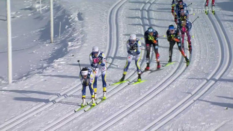 Světový pohár v klasickém lyžování - Německo