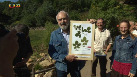 Zprávičky - 26. září 2021