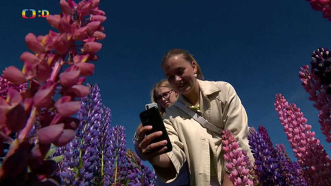 Zprávičky - 10. června 2020