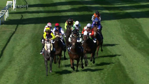 Dostihy - Velká cena města Pardubic