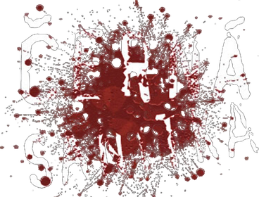Černá sanitka