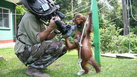 Soukromý život primátů - 3/4 Orangutani