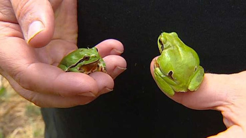 Přidej se - Přidej se