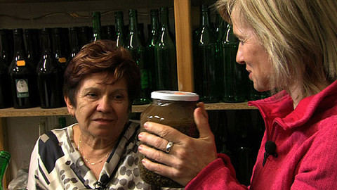 Kouzelné bylinky - Léčení pupeny