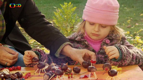 Moje zahrádka - Podzimní bobule