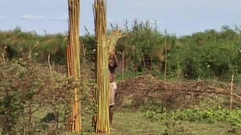 Přidej se - Afrika VI.