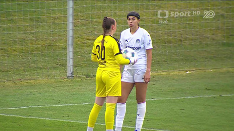 FORTUNA=LIGA - FC Slovan Liberec - 1.FC Slovácko