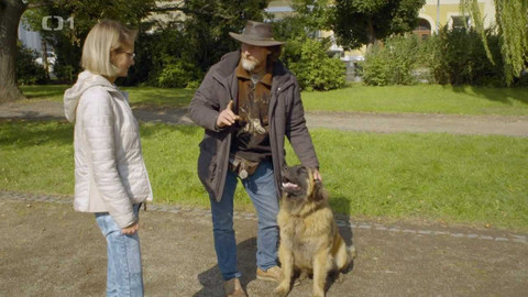 Kočka není pes - Neposlušný Falko a utlačovaná Sofinka se Sebastianem