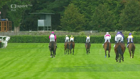 Dostihy - Pardubické dostihy