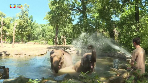 Zprávičky - 3. července