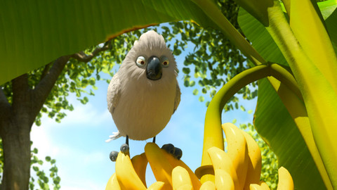 Esa z pralesa - 32/52 Uzené banány