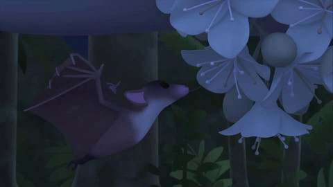 Leo, strážce přírody - Kaloň jeskynní