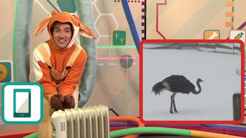 Telefon - 17. března 2017