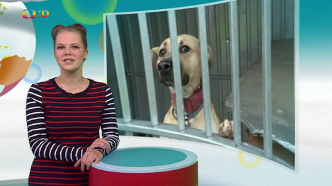 Zprávičky - 15. října 2021