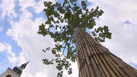 Týden v regionech (Brno) - 13. července 2019