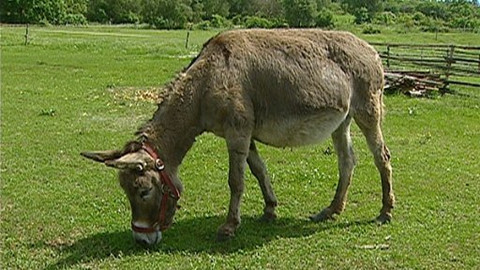 Chcete mě? - 18. června 2008