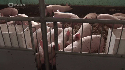 Obnovujeme venkov - Národní dotační titul pro rozvoj venkovského prostoru