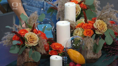 Sama doma - 20. září 2024