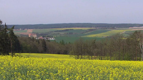 Nedej se! - Příliš krátký krok správným směrem