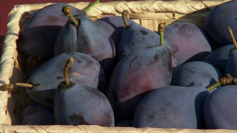 Polopatě - 4. září 2016