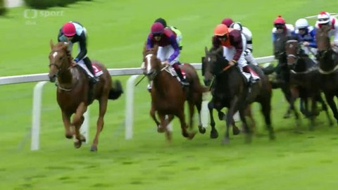 Jezdectví - Velká cena Prahy