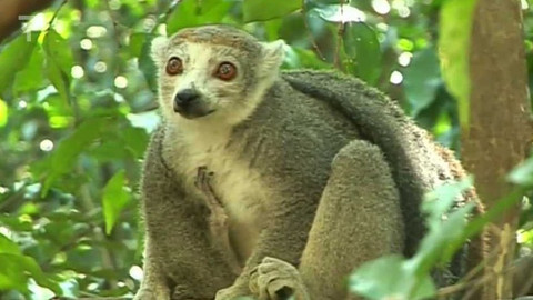 Objektiv - 8. dubna 2012