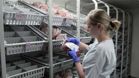 Dobrodružství vědy a techniky - Nedostatková krev