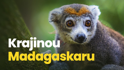Krajinou Madagaskaru