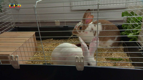 Terčin zvířecí svět - 24. října