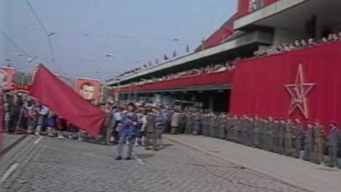 Archiv ČT24 - Jedničkové květny