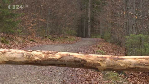 Regiony ČT24 - 30. dubna 2022