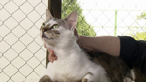 Chcete mě? - Chcete je?