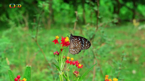 Zprávičky - 29. června