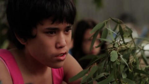 Mezipatra 2014 - Koťátko