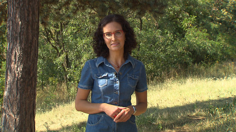 Křesťanský magazín - 10. září 2017