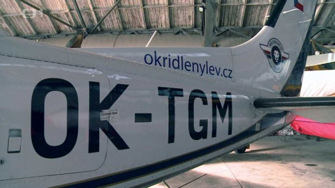 Gejzír - 8. listopadu 2018