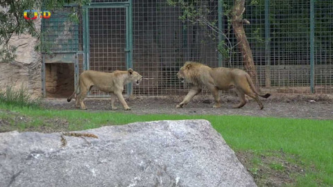 Zprávičky - 28. června 2022