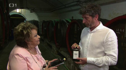 Hobby naší doby - Hobby naší doby - letní speciál