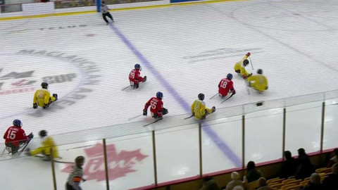 Hokej - Čína - Česko