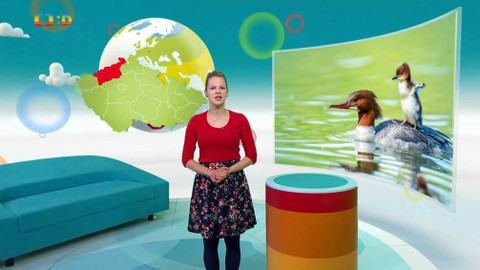 Zprávičky - 24. května 2020