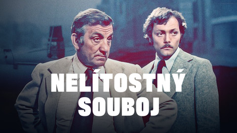 Nelítostný souboj