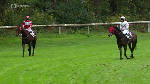 Velká pardubická - Velká cena města Pardubic