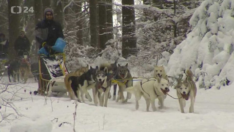 Regiony ČT24 - 16. ledna 2021