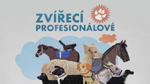 Zvířecí profesionálové