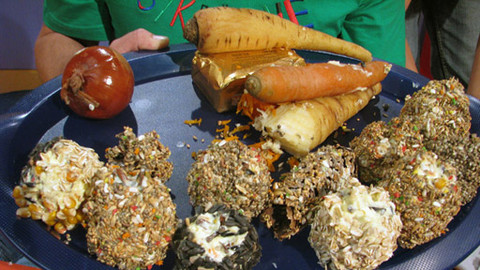 Šikulové - 30. prosince 2010