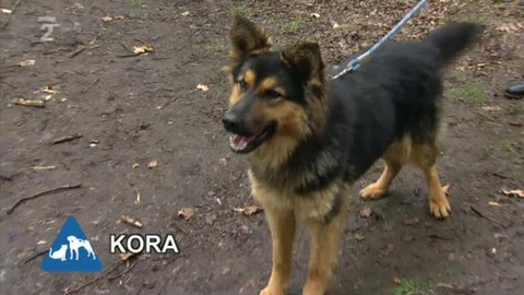 Chcete mě? - Chcete je?