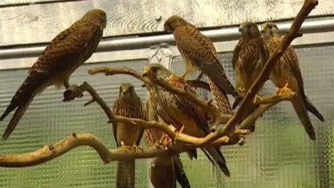 Přidej se - Plzeňští záchranáři