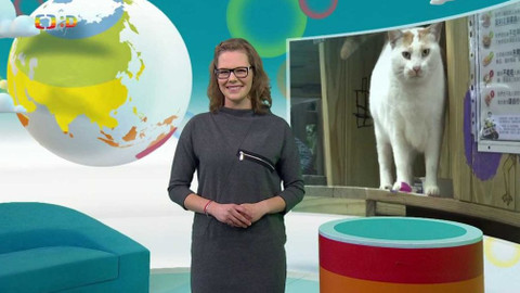 Zprávičky - 10. ledna 2021