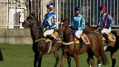 Velká pardubická - 2007