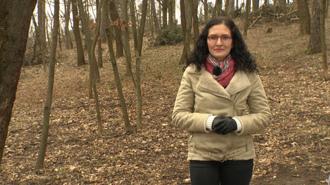 Křesťanský magazín - 4. dubna 2021